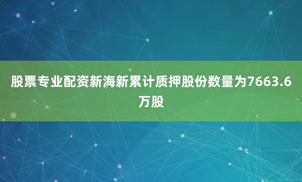 股票专业配资新海新累计质押股份数量为7663.6万股