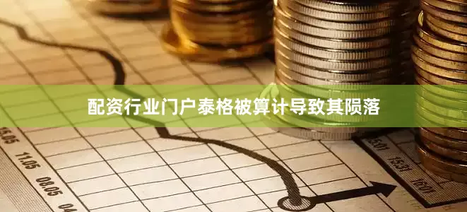 配资行业门户泰格被算计导致其陨落