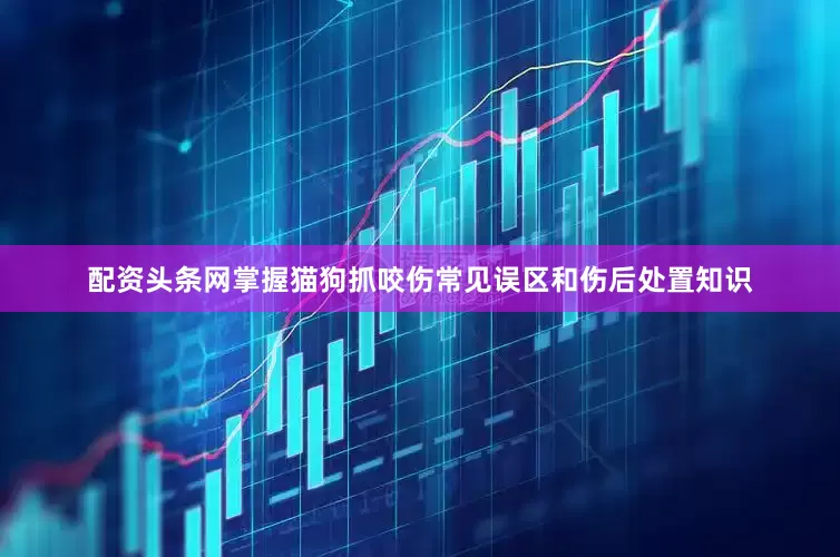 配资头条网掌握猫狗抓咬伤常见误区和伤后处置知识