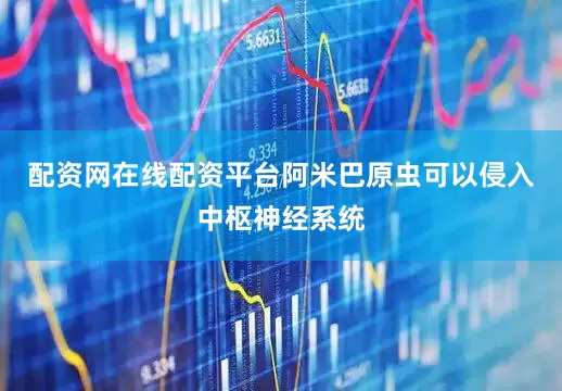 配资网在线配资平台阿米巴原虫可以侵入中枢神经系统