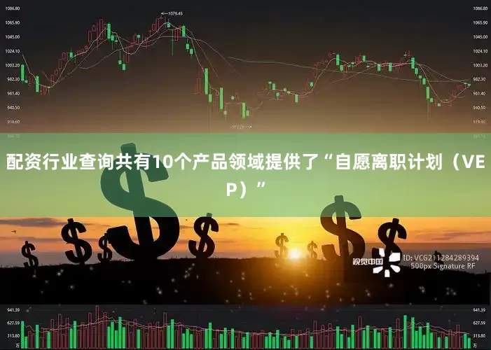 配资行业查询共有10个产品领域提供了“自愿离职计划（VEP）”