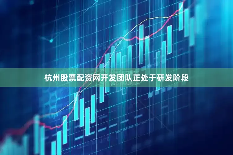 杭州股票配资网开发团队正处于研发阶段