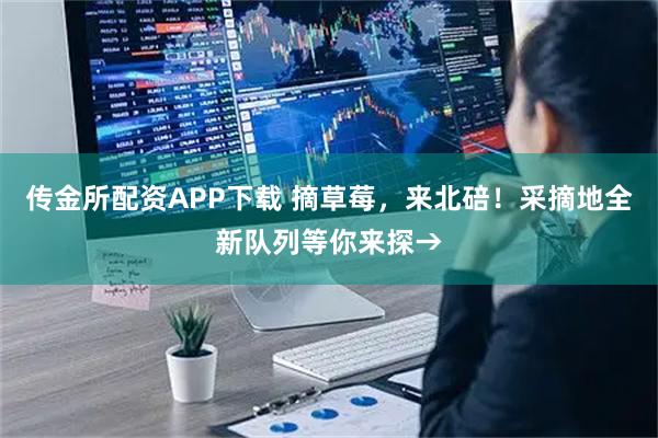 传金所配资APP下载 摘草莓，来北碚！采摘地全新队列等你来探→