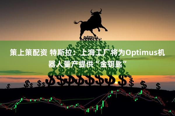 策上策配资 特斯拉：上海工厂将为Optimus机器人量产提供“金钥匙”
